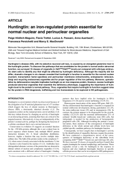 Huntingtin: an iron-regulated protein essential for