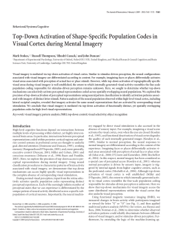Stokes et al., 2009, J Neurosci
