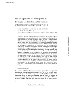 Ion Transport and the Development of Hydrogen Ion