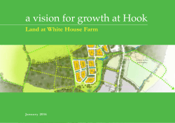 a vision for growth at Hook
