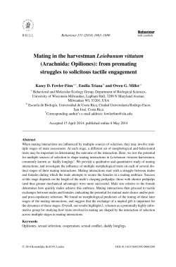 Mating in the harvestman Leiobunum vittatum (Arachnida: Opiliones
