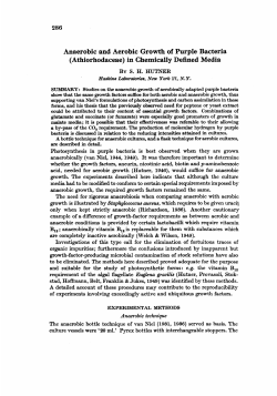 Anaerobic and Aerobic Growth of Purple Bacteria