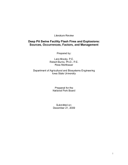 Deep Pit Swine Facility Flash Fires and Explosions: Sources