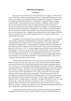 Abi`s research article - British Llama Society