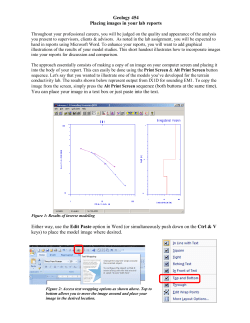 CNTL Print Screen gives you the entire window