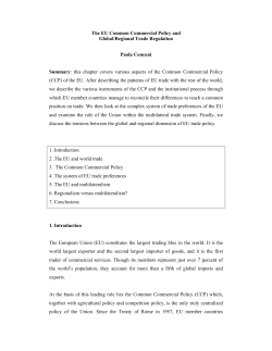 The EU Common Commercial Policy and Global