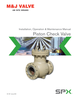 Piston Check Valve