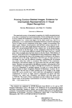 Priming Contour-Deleted images