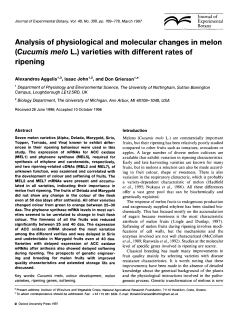 Analysis of physiological and molecular changes in melon (Cucumis