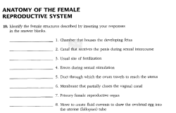 ANATOMY OF THE FEMALE REPRODUCTIVE SYSTEM