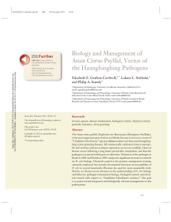 Biology and Management of Asian Citrus Psyllid, Vector of the
