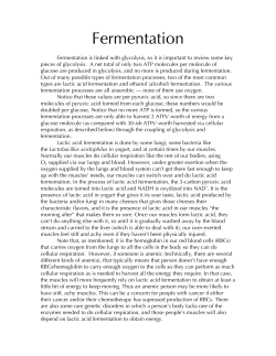 Fermentation