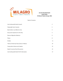 Into the Beautiful North Study Guide