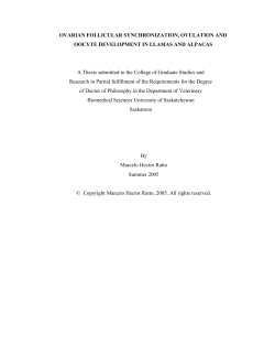 OVARIAN FOLLICULAR SYNCHRONIZATION, OVULATION AND
