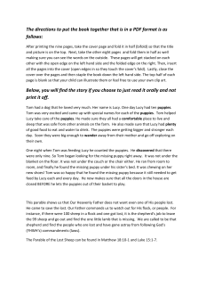 The directions to put the book together that is in a PDF format is as