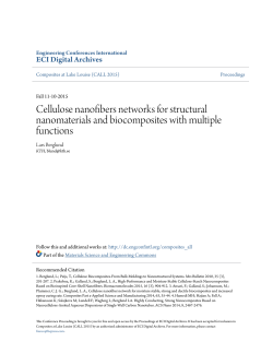 Cellulose nanofibers networks for structural nanomaterials and