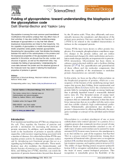 Folding of glycoproteins - Weizmann Institute of Science