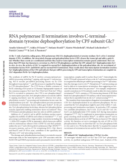 RNA polymerase II termination involves C-terminal