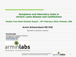 Symptoms and laboratory tests in chronic Lyme disease