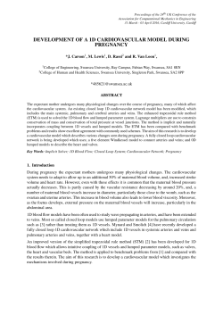 development of a 1d cardiovascular model during