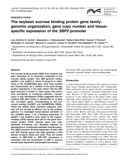The soybean sucrose binding protein gene family: genomic