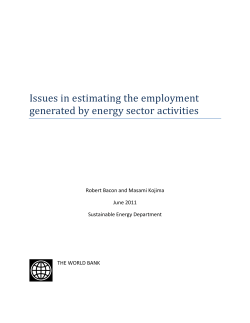Issues in estimating the employment generated by energy sector