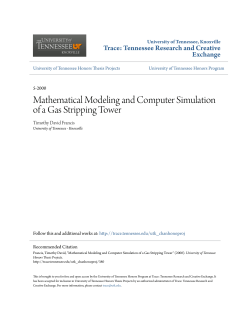 Mathematical Modeling and Computer Simulation of a Gas Stripping