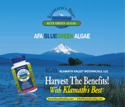 KVB booklet 16 page 2_05.qxd