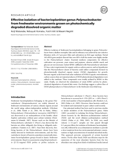 Effective isolation of bacterioplankton genus Polynucleobacter from