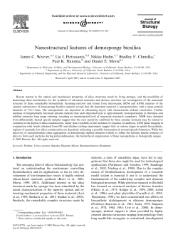 Nanostructural features of demosponge biosilica