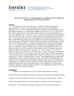Effectiveness of Brewer`s Yeast Supplement in Combination with or