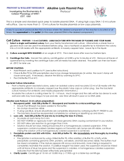 Alkaline Lysis Plasmid Prep - University of San Diego Home Pages