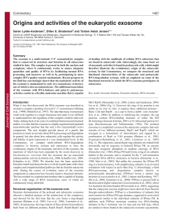 Origins and activities of the eukaryotic exosome