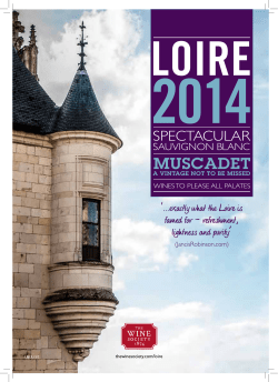 muscadet - The Wine Society