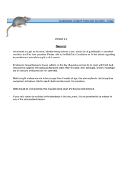Rat Show Standards