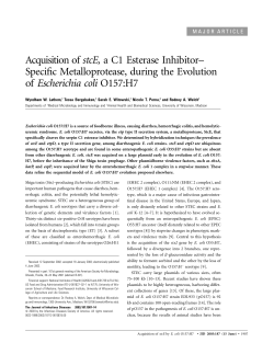 Acquisition of stcE, a C1 Esterase Inhibitor&ndash; Specific
