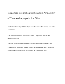 Supporting Information for: Selective Permeability of Truncated