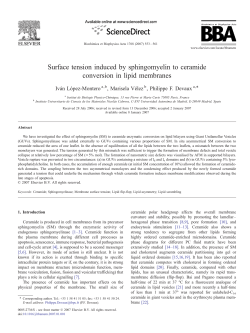 Surface tension induced by sphingomyelin to ceramide conversion