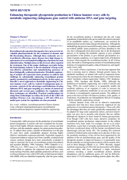 MINI REVIEW Enhancing therapeutic