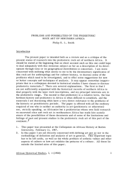 PROBLEMS AND POSSIBILITIES OF THE PREHISTORIC ROCK