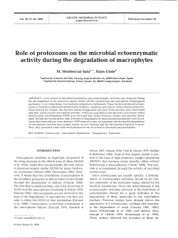 Role of protozoans on the microbial ectoenzymatic activity during