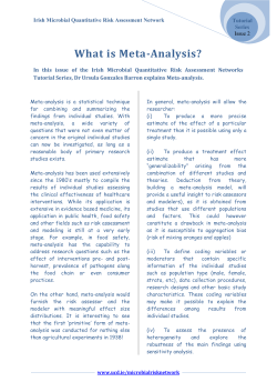 Issue 2 What is Meta