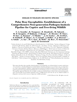 Polar Bear Encephalitis: Establishment of a