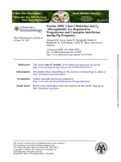 during Pig Pregnancy Progesterone and Conceptus Interferons