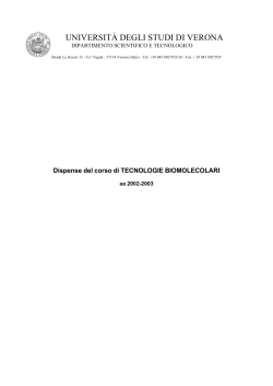 plasmid dna miniprep - Universit&agrave; degli Studi di Verona