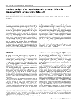 Functional analysis of rat liver citrate carrier promoter