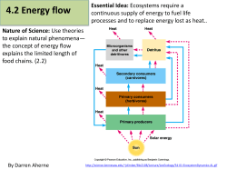 4.2 energy flow