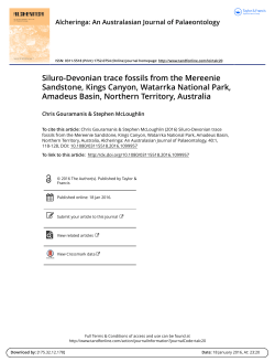 Siluro-Devonian trace fossils from the Mereenie Sandstone, Kings