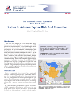 Rabies In Arizona: Equine Risk And Prevention