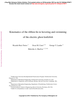 Kinematics of the ribbon fin in hovering and swimming of the electric